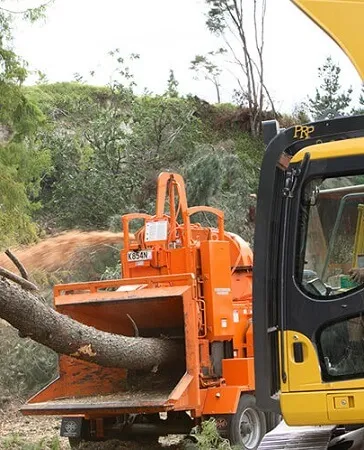 Land Clearing Sydney 1