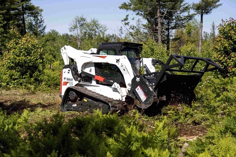 Land Clearing Cremorne Point